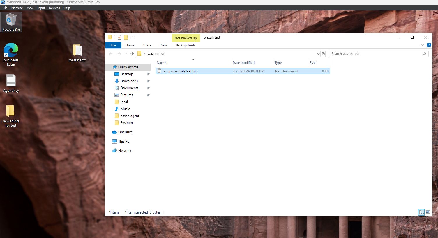 Testing File Monitoring with Sample File Creation